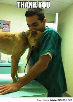 ... Thank you DOC / Funny Pictures, Funny Quotes – Photos, Quotes