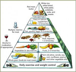 the original food pyramid introduced in 1992 by the usda and replaced ...