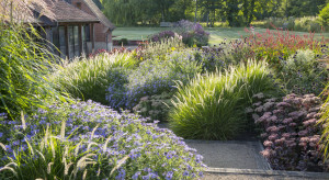 Sue Townsend Suffolk Garden...