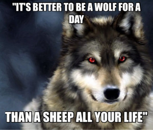 Wolf Love Quotes As requested a wolf with this