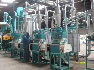 small scale maize flour milling equipment 5t maize corn flour milling