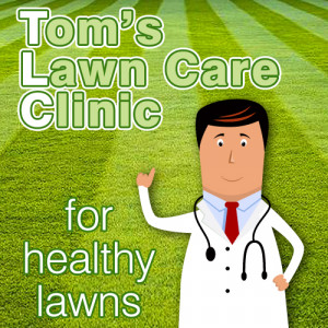 Lawn Care Quotes
