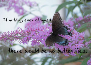 butterfly-kisses-quote-jennifer-demeglio