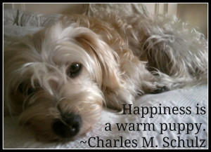 ... this Just Love Little Dog Happiness Warm Puppy Charles Schulz picture