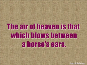 The air of heaven is that which blows between a horse’s ears.