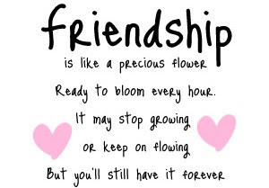 Cute Friendship Quotes Definition