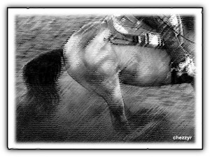 Quarter Horse Reining