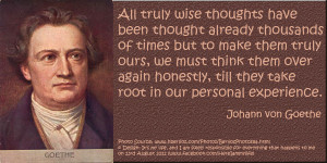 Johann von Goethe quotes