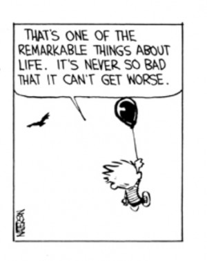 calvin & hobbes quotes
