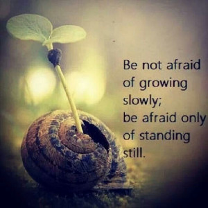 Pinned by Debra LaBella