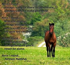 equestrian quotes | In horse we trust | Horse quotes More