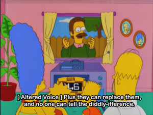 ned flanders quotes