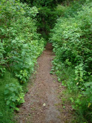 There's a difference between knowing the path and walking the path.