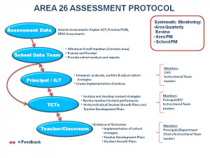 to the assessment protocol in support of interim assessment analysis