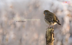 Quotes Wallpaper. Lovesove Wallpapers And Quotes. View Original ...