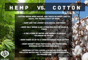 Cotton, Bamboo and How Cannabis Can Revolutionize Industry