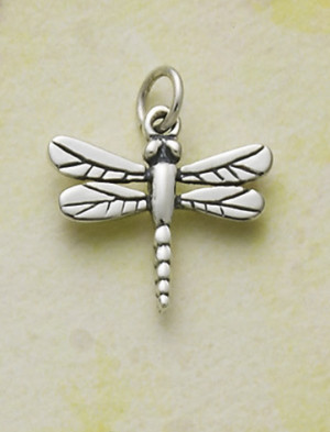 Source: http://www.jamesavery.com/product/Dragonfly-Charm/156829.uts ...