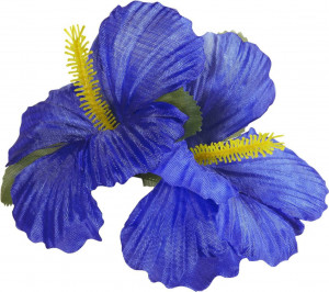 Blue Hibiscus Flower 2 blue hibiscus flowers hair