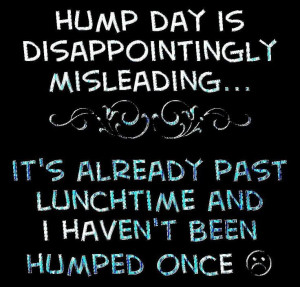 Hump Day quotes quote funny quotes days of the week humor wednesday ...