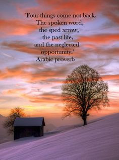 ... Arabic proverb #middleeast #arabic #wisdom #quotes #inspirational More