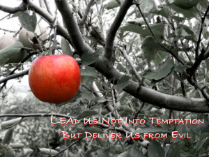 And lead us not into temptation, but deliver us from evil ...