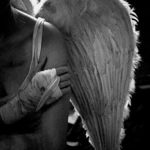Angel with Broken Wing