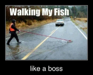 fish walking funny caption picture share this funny caption pic on ...