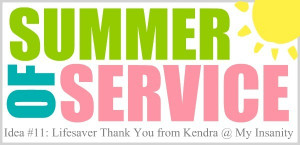 summer of service