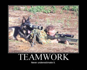Man and Dog Teamwork