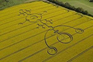 This, from Crop Circle News: