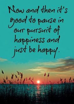 in our pursuit of happiness and just be happy | Inspirational Quotes ...