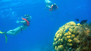 Six best places to scuba dive/snorkel in Cozumel