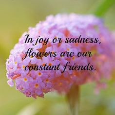quotes inspirational christian quotes flower quotes inspirational ...