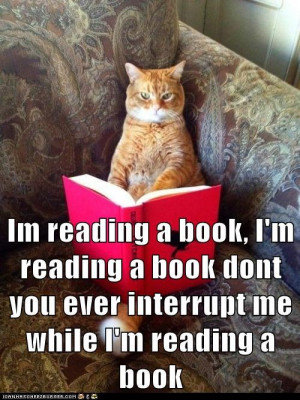 Im reading a book, I'm reading a book dont you ever interrupt me while ...