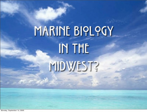 Marine Biology - Ten Year Anniversary