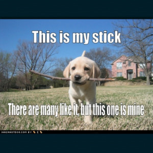 famous USMC quote. Hehehe. Too cute!!Military Dogs, Labrador Retriever ...
