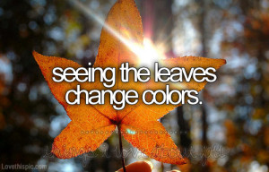 Seeing the leaves change colors