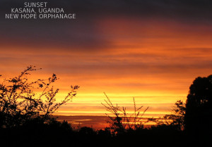 Funny Quotes Contact Dmca...