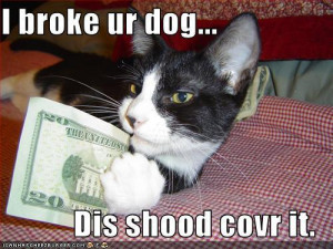 Funny Animals Sayings funny Pics