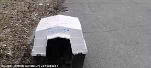 The body of one dog was found in its crate dumped on the side of the ...