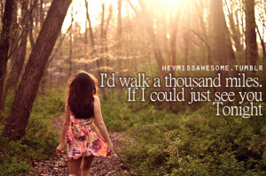 would walk a thousand miles if i could just see you” (thousand miles ...