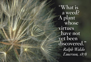 Uploaded to Pinterest