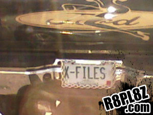 files-funny-license-plate