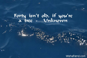 Forty isn't old, if you're a tree