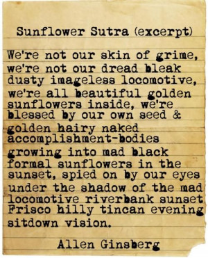 Sunflower Quotes Tumblr Sutra