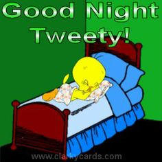 ... birds fabian tweety friends wednesday quotes awesome quotes goodnight