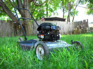Thread: My Lawn Mower Repair Thread (56k warning)