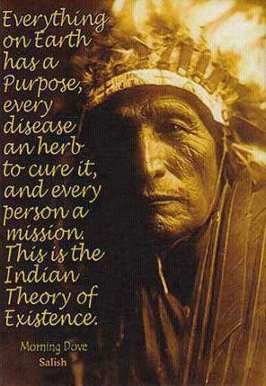 Native American wisdom