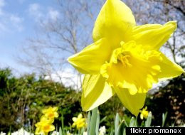 Inspirational Quotes: Inspiring Words For The Month Of May