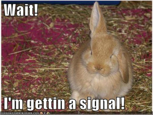 Have you laughed yet today? Halarious easter pictures coming up...
